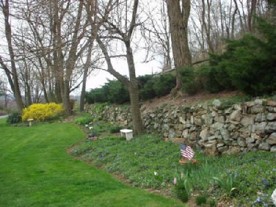 2822 Stonesthrow Road Bethlehem, PA 18015 - Photo 8 of 9 Beautiful perennials