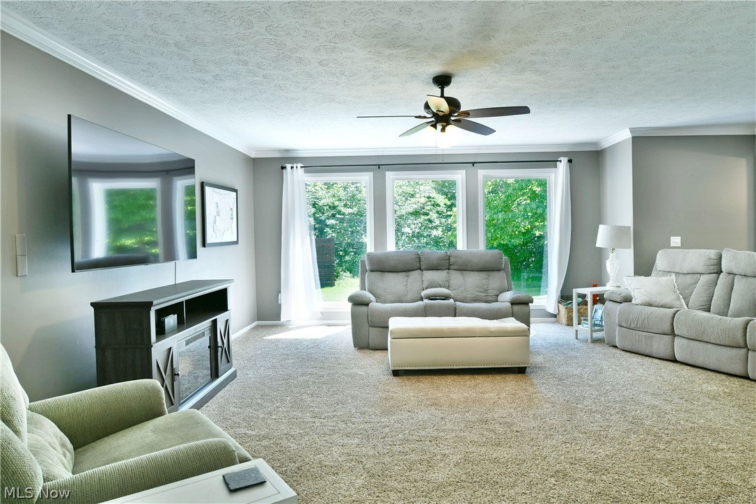13491 Woodin Road Chardon, OH 44024 - Photo 14 of 35 Carpeted living room featuring crown molding, a textured ceiling, and ceiling fan