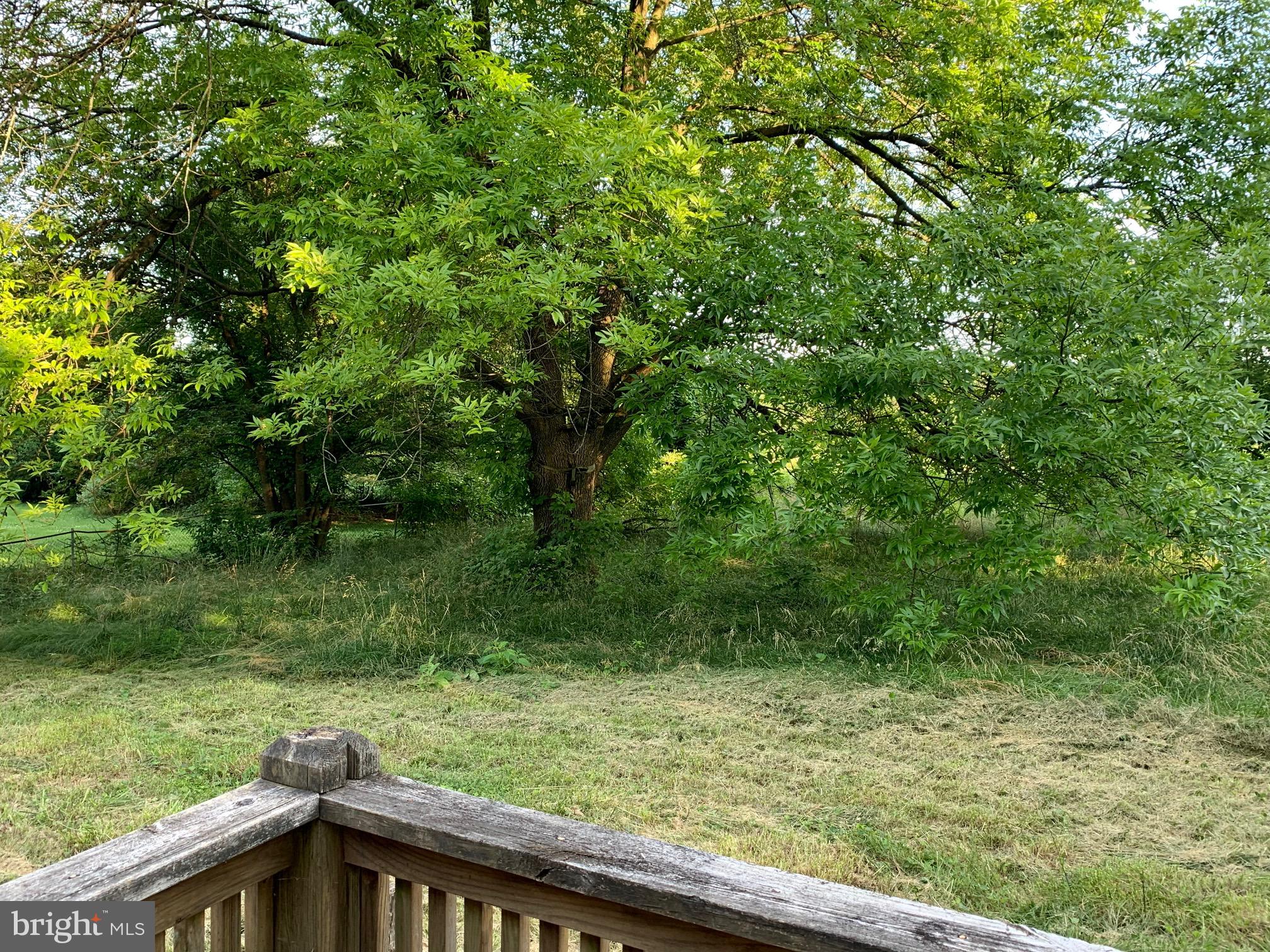 8 Woody Brown Road Rising Sun, MD 21911 - Photo 13 of 16