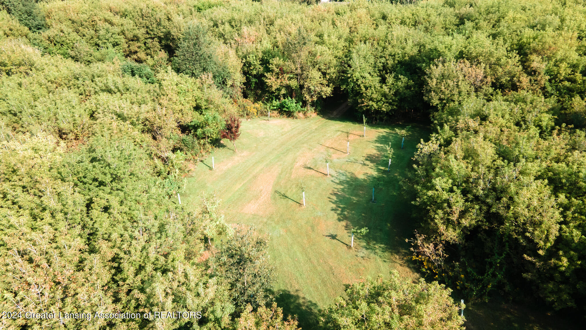 10483 Wilcox Road Onondaga, MI 49264 - Photo 42 of 63 10483Wilcox42