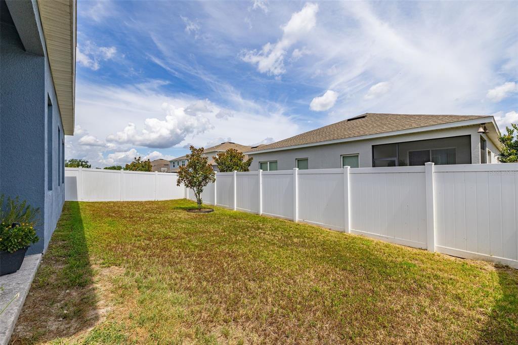 367 August Fern Loop Mount Dora, FL 32757 - Photo 44 of 90