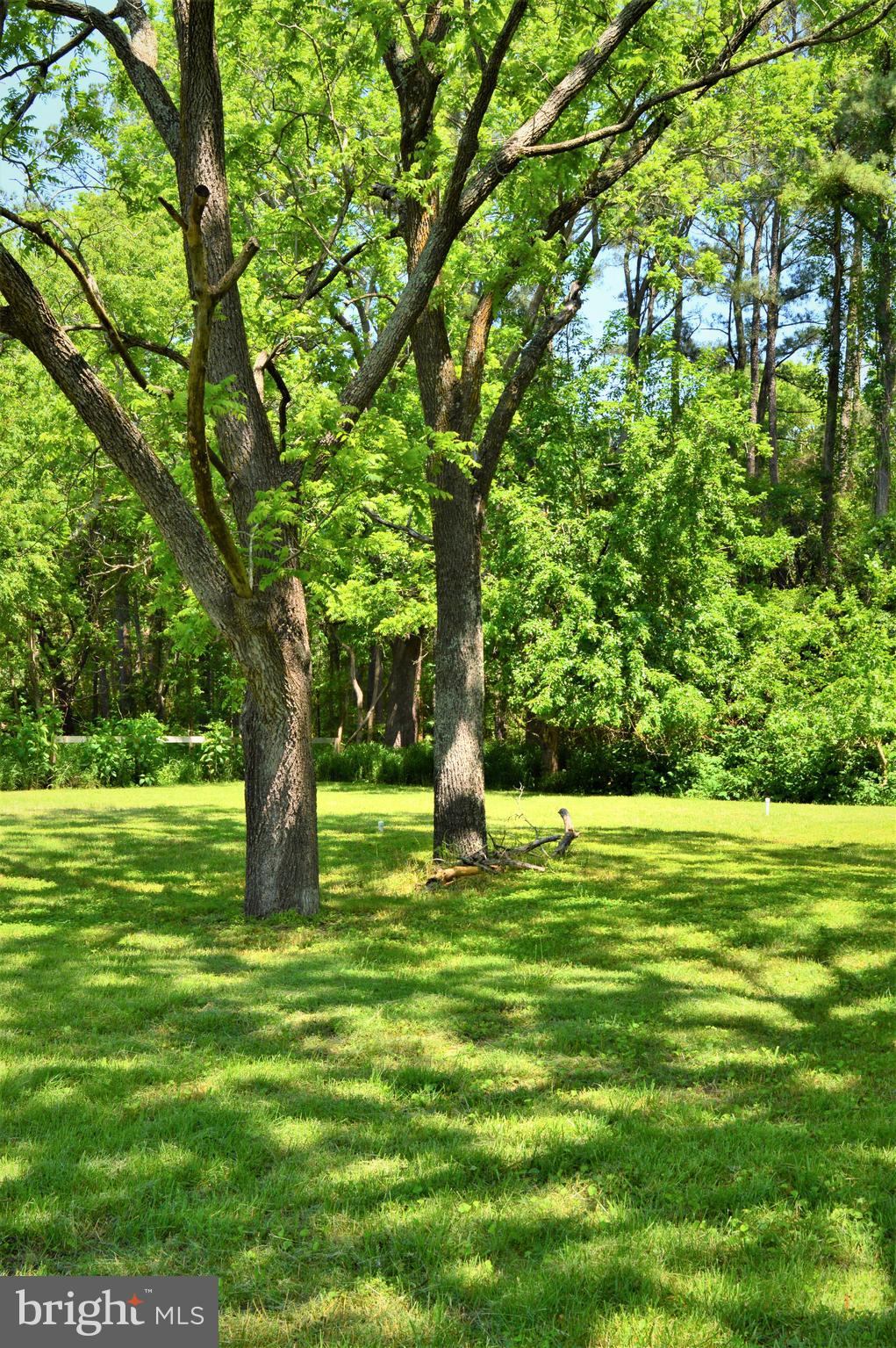 21624 Deep Branch Road Quantico, MD 21856 - Photo 4 of 7