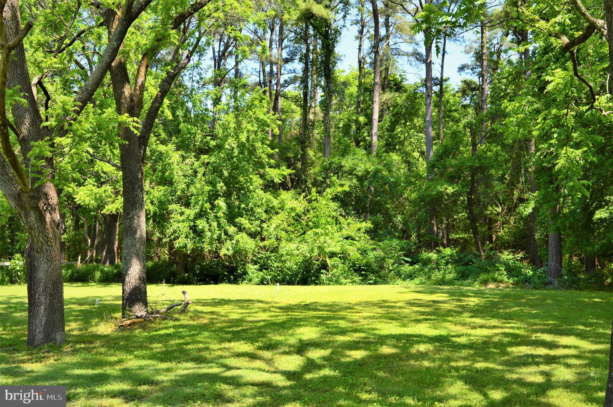 21624 Deep Branch Road Quantico, MD 21856 - Photo 5 of 7