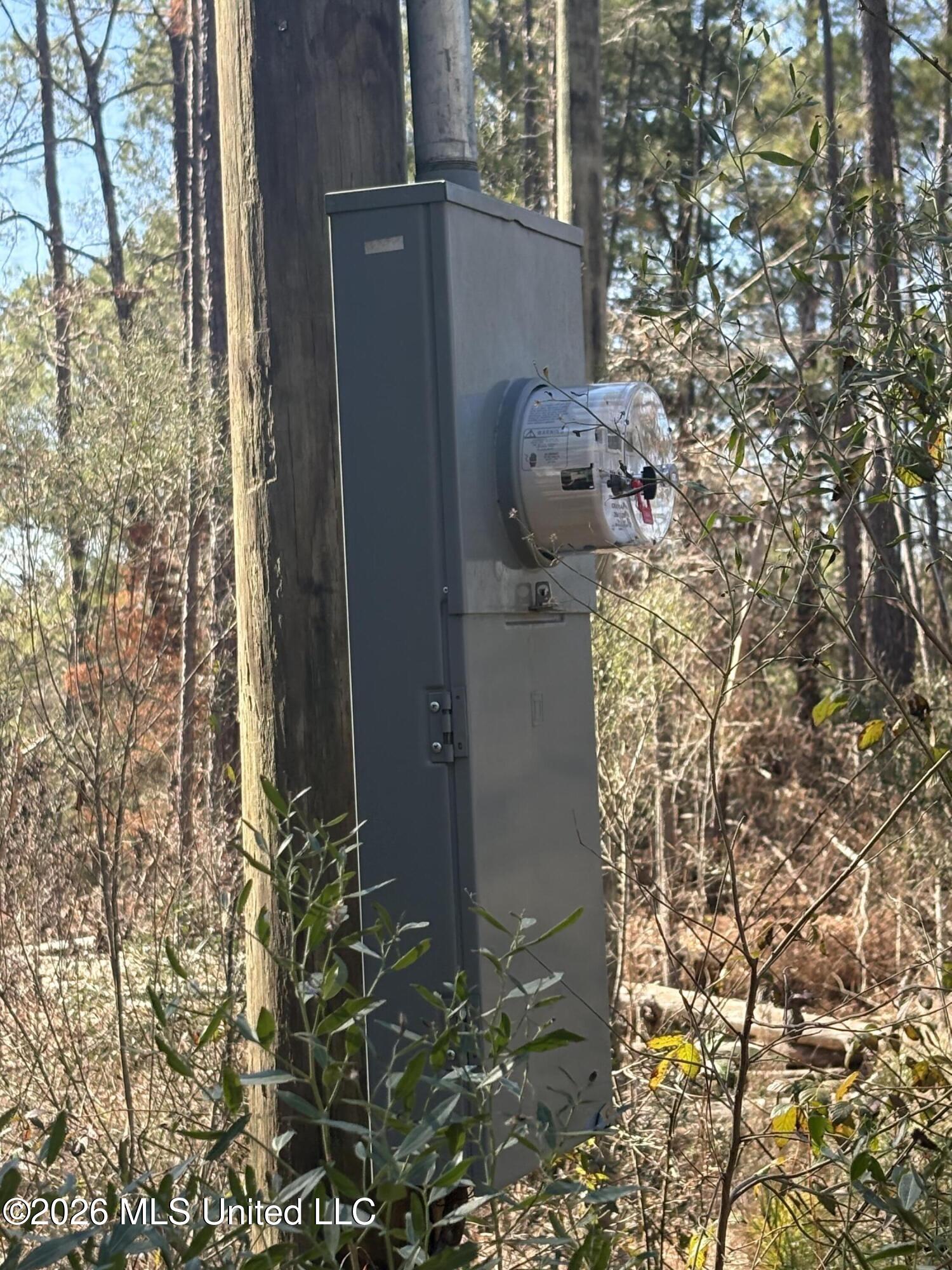 11330 Mississippi 429 Sallis, MS 39160 - Photo 2 of 6 IMG_5895