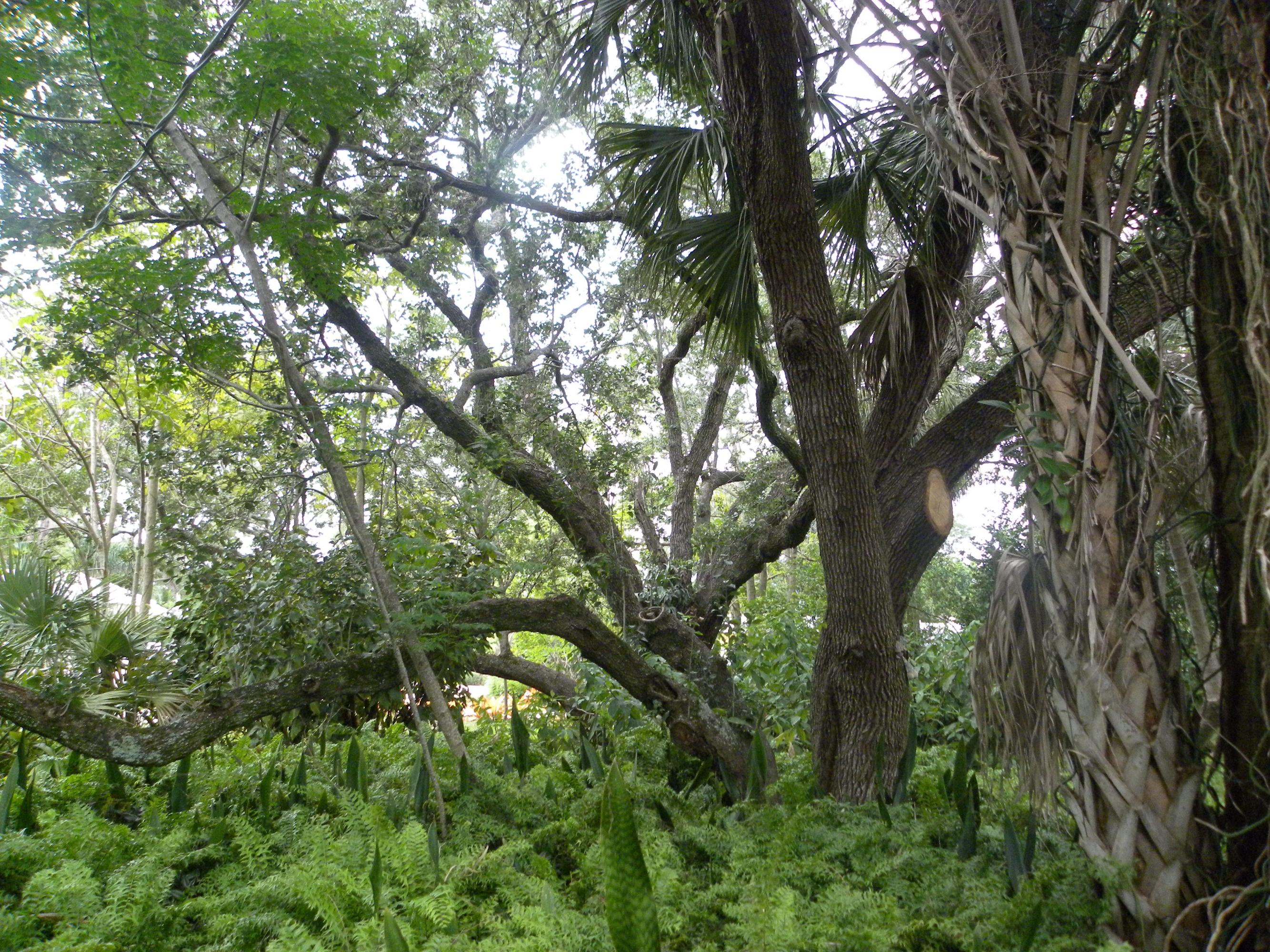 1000 Southwest 21st Street Boca Raton, FL 33486 - Photo 11 of 18 Land