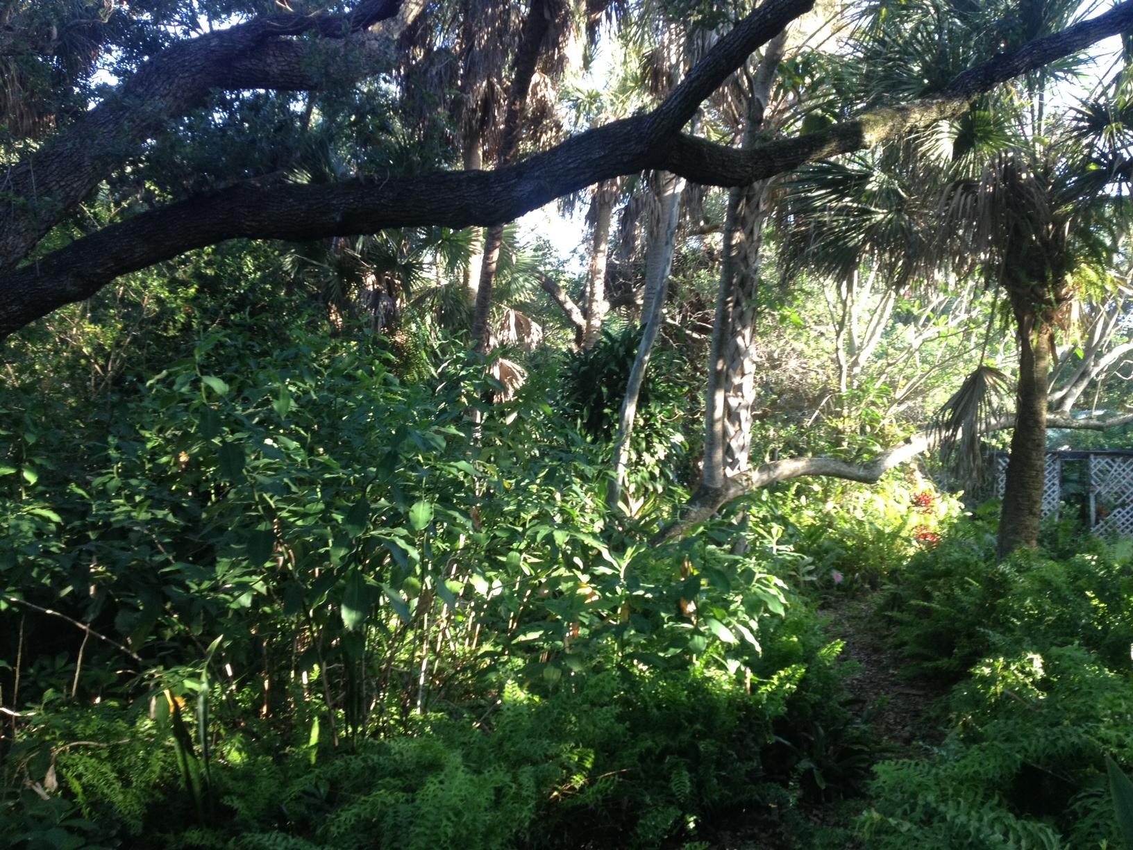 1000 Southwest 21st Street Boca Raton, FL 33486 - Photo 3 of 18 Land