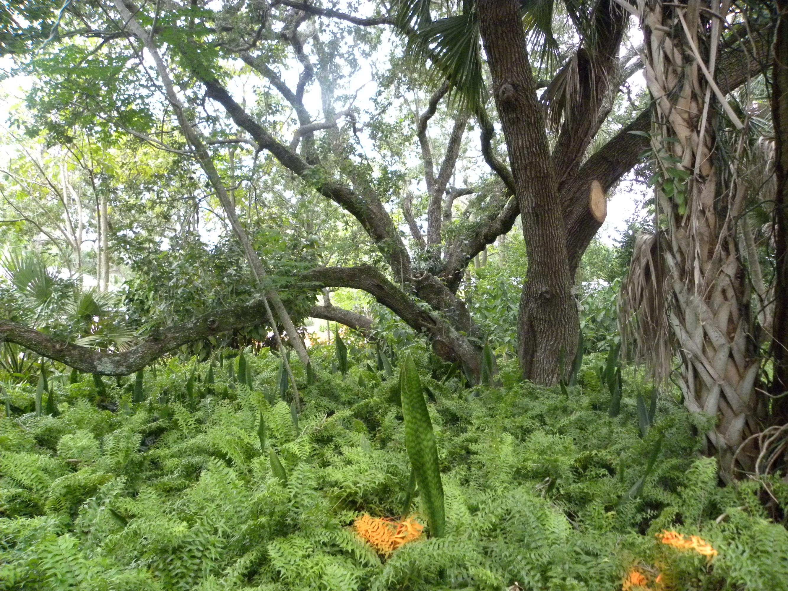 1000 Southwest 21st Street Boca Raton, FL 33486 - Photo 8 of 18 Land