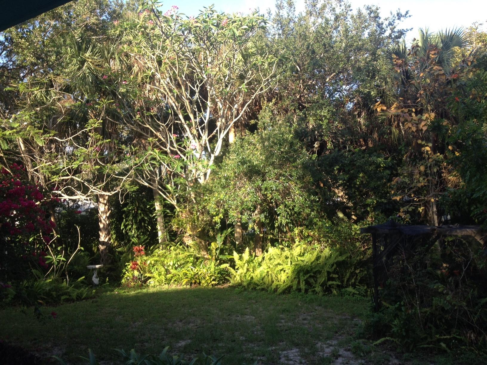 1000 Southwest 21st Street Boca Raton, FL 33486 - Photo 9 of 18 Land