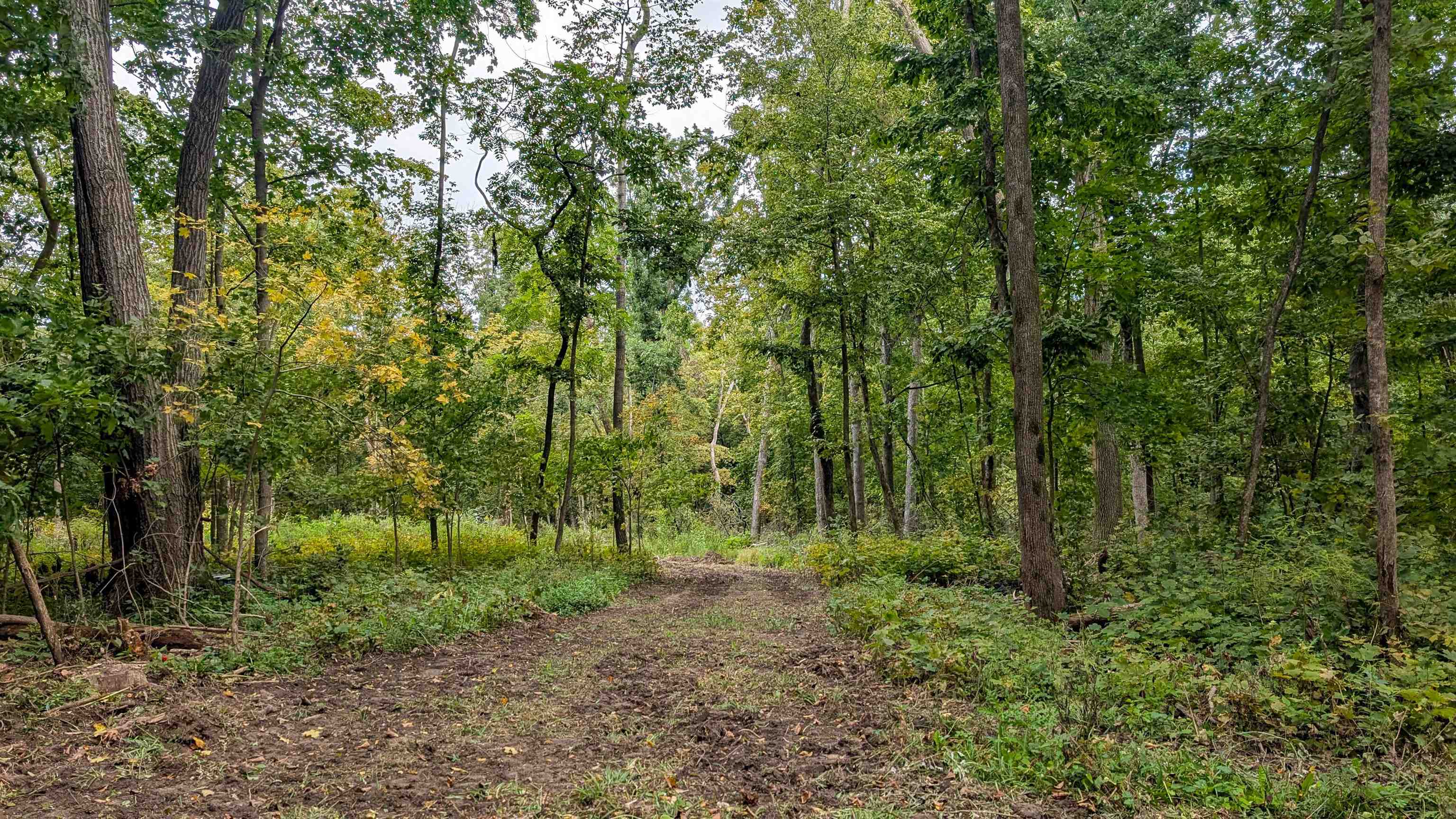 2222 County Road Y Mineral Point, WI 53565 - Photo 9 of 13