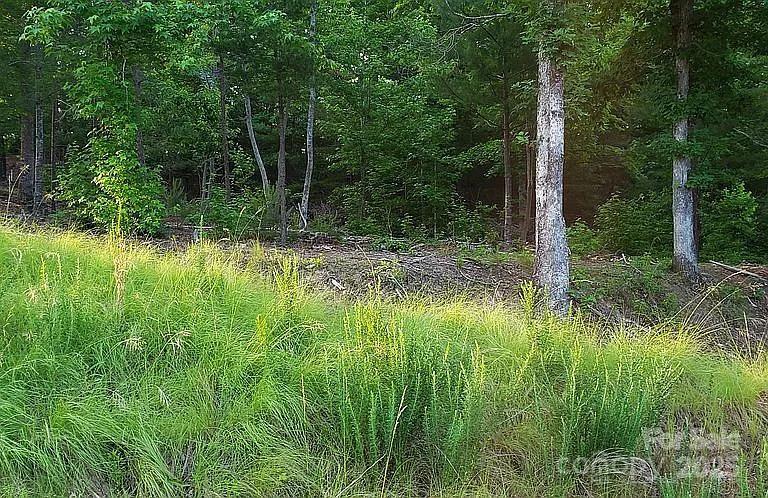 V/l Ridge Point Road, Unit 19 Nebo, NC 28761 - Photo 17 of 20
