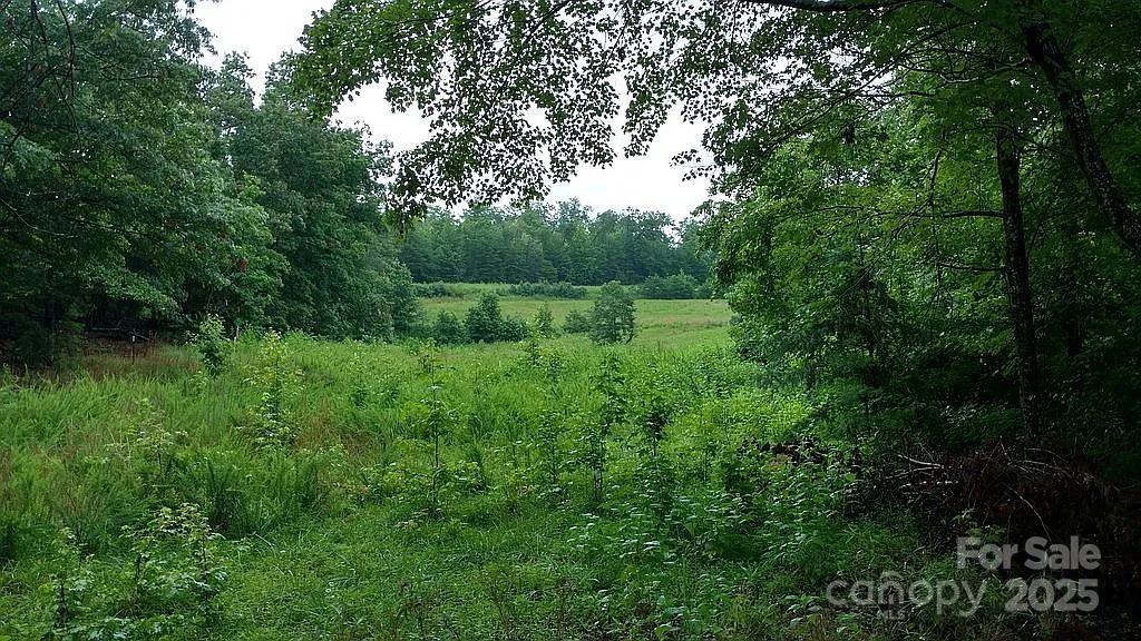 V/l Ridge Point Road, Unit 19 Nebo, NC 28761 - Photo 19 of 20