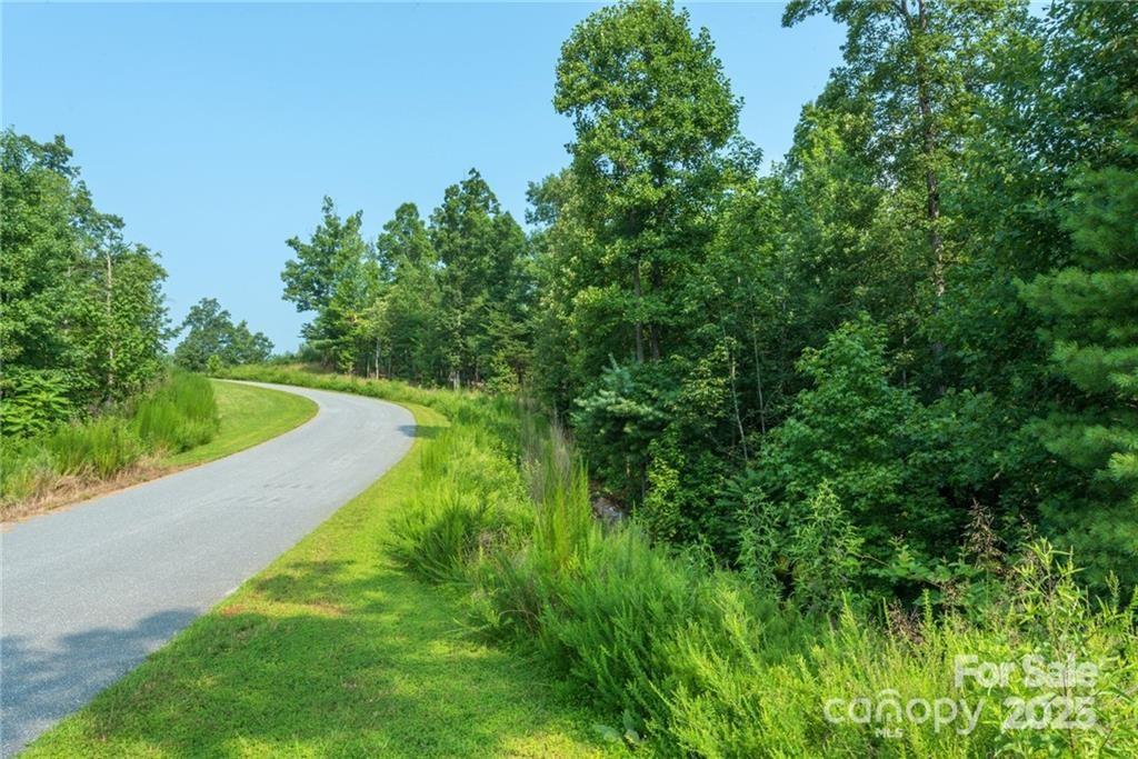 V/l Ridge Point Road, Unit 19 Nebo, NC 28761 - Photo 4 of 20