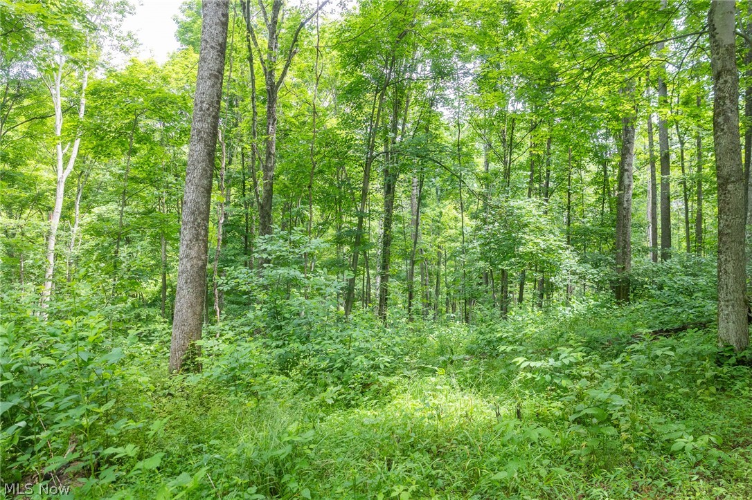 Kinnen Road Caldwell, OH 43724 - Photo 26 of 37