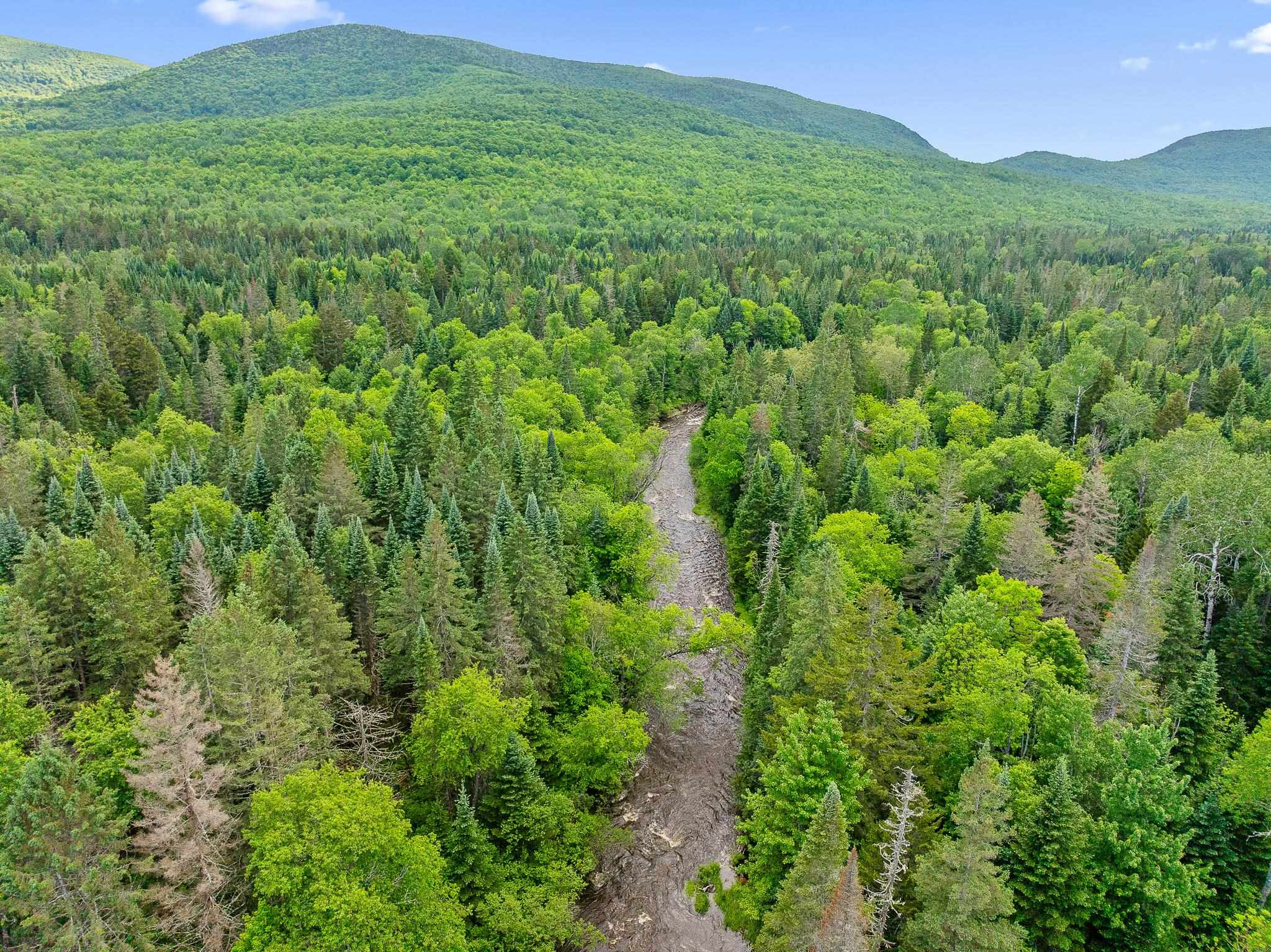 354 Gray Road Columbia, NH 03576 - Photo 21 of 37