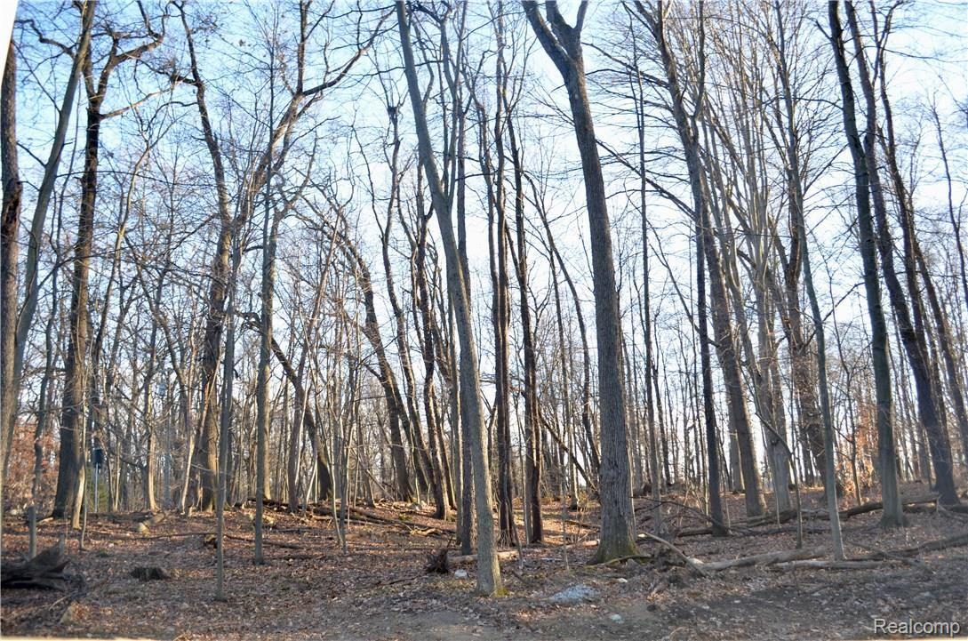 12250 Dunham Road Hartland, MI 48353 - Photo 14 of 15 Backyard