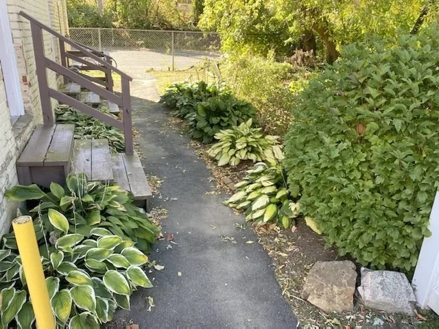 a view of a yard with plants