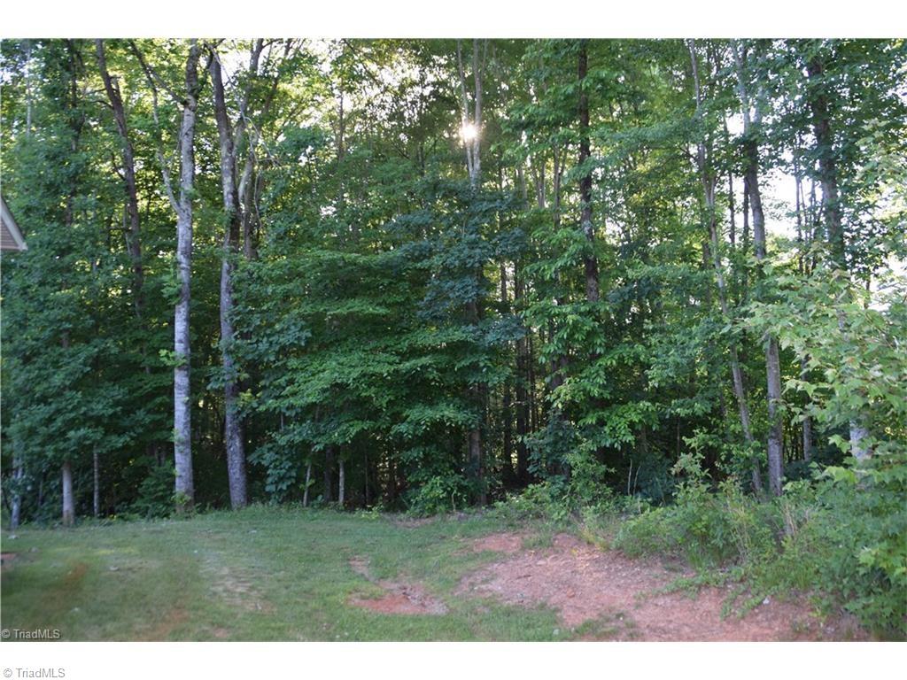 1051 Harris Farm Road King, NC 27021 - Photo 9 of 10