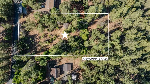 $50,000 | 11456 Gold Strike Road, Pine Grove, CA 95665