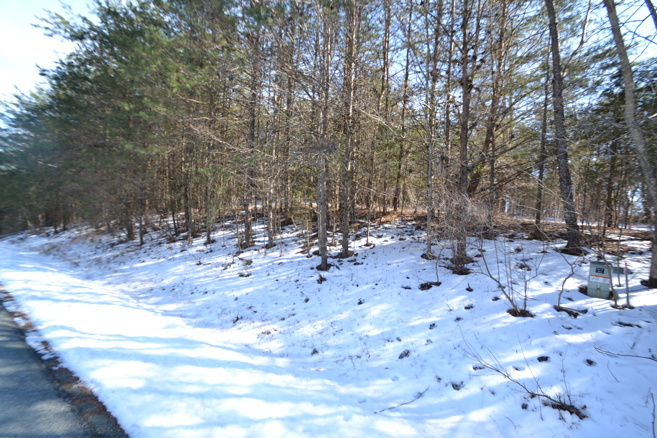 Lot 33 Cedar Ridge Rd Union Union Hall, VA 24176 - Photo 3 of 5 Lott 33
