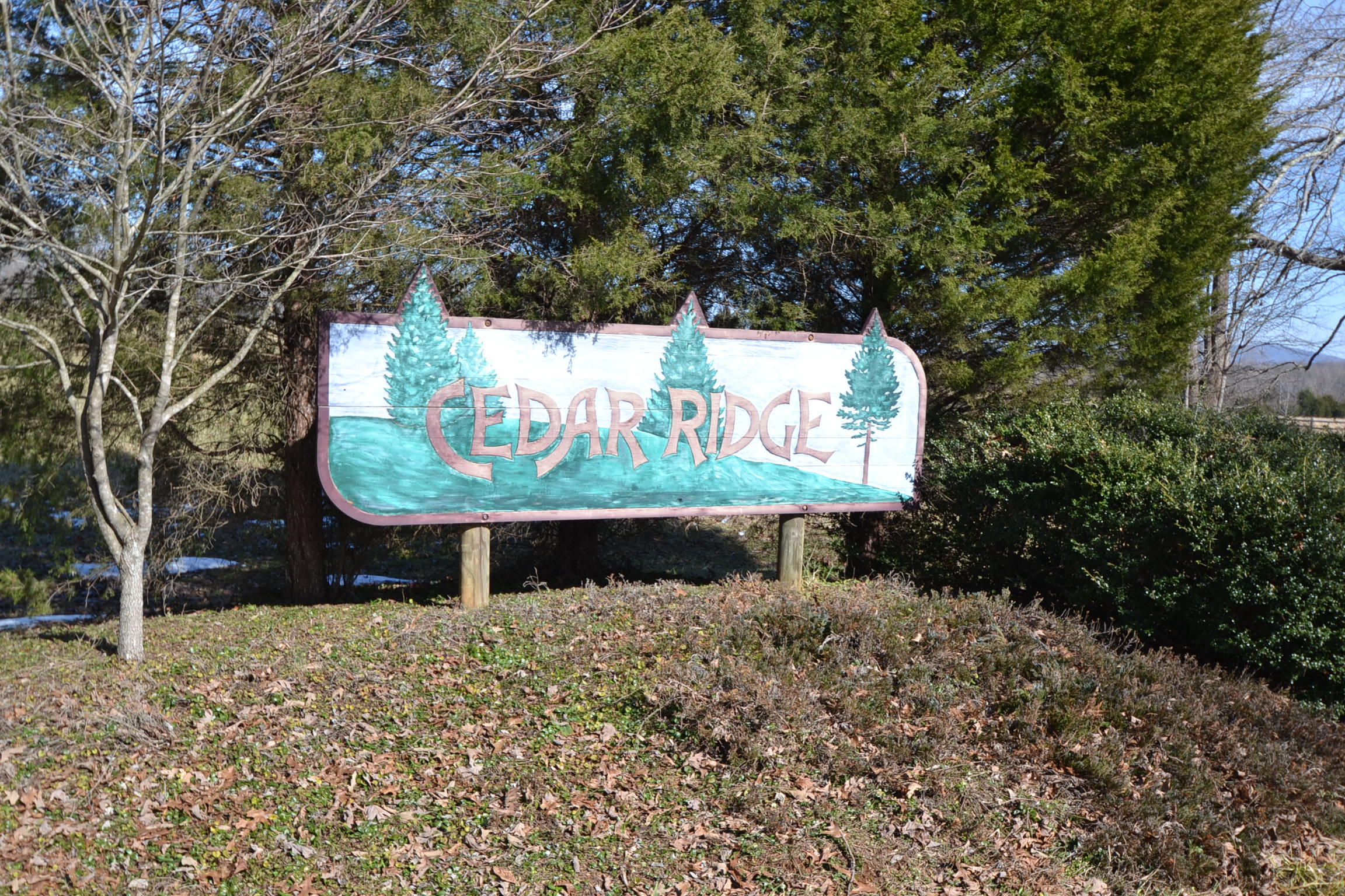 Lot 33 Cedar Ridge Rd Union Union Hall, VA 24176 - Photo 5 of 5 Cedar Ridge