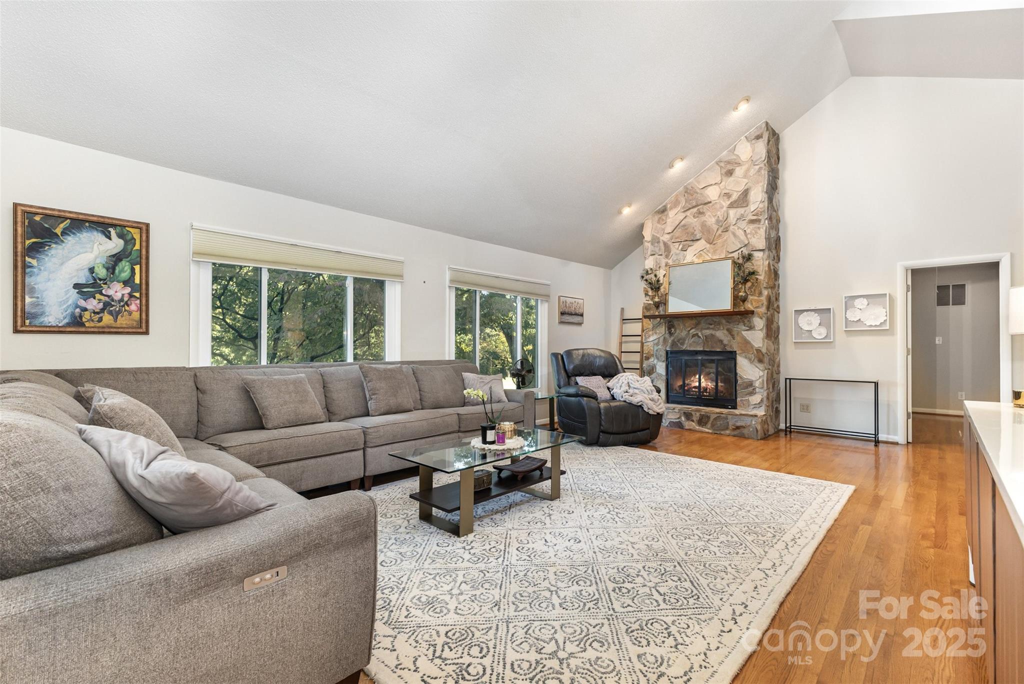 100 Fairway Ridge Clover, SC 29710 - Photo 22 of 45 a living room with furniture window and a fireplace