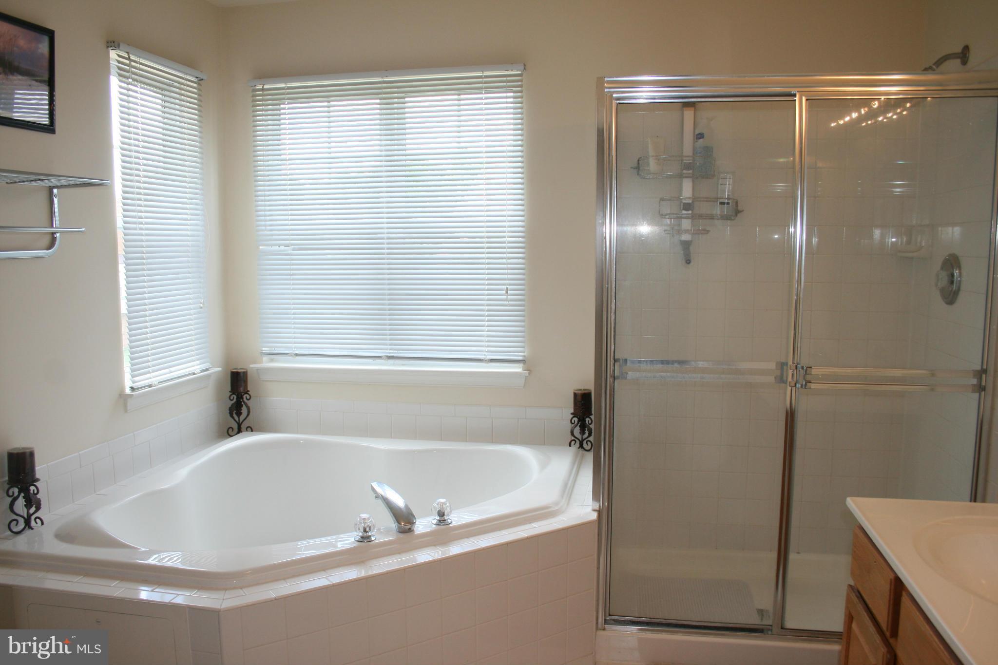 3841 Glebe Meadow Way Edgewater, MD 21037 - Photo 18 of 30 Bath (Master)