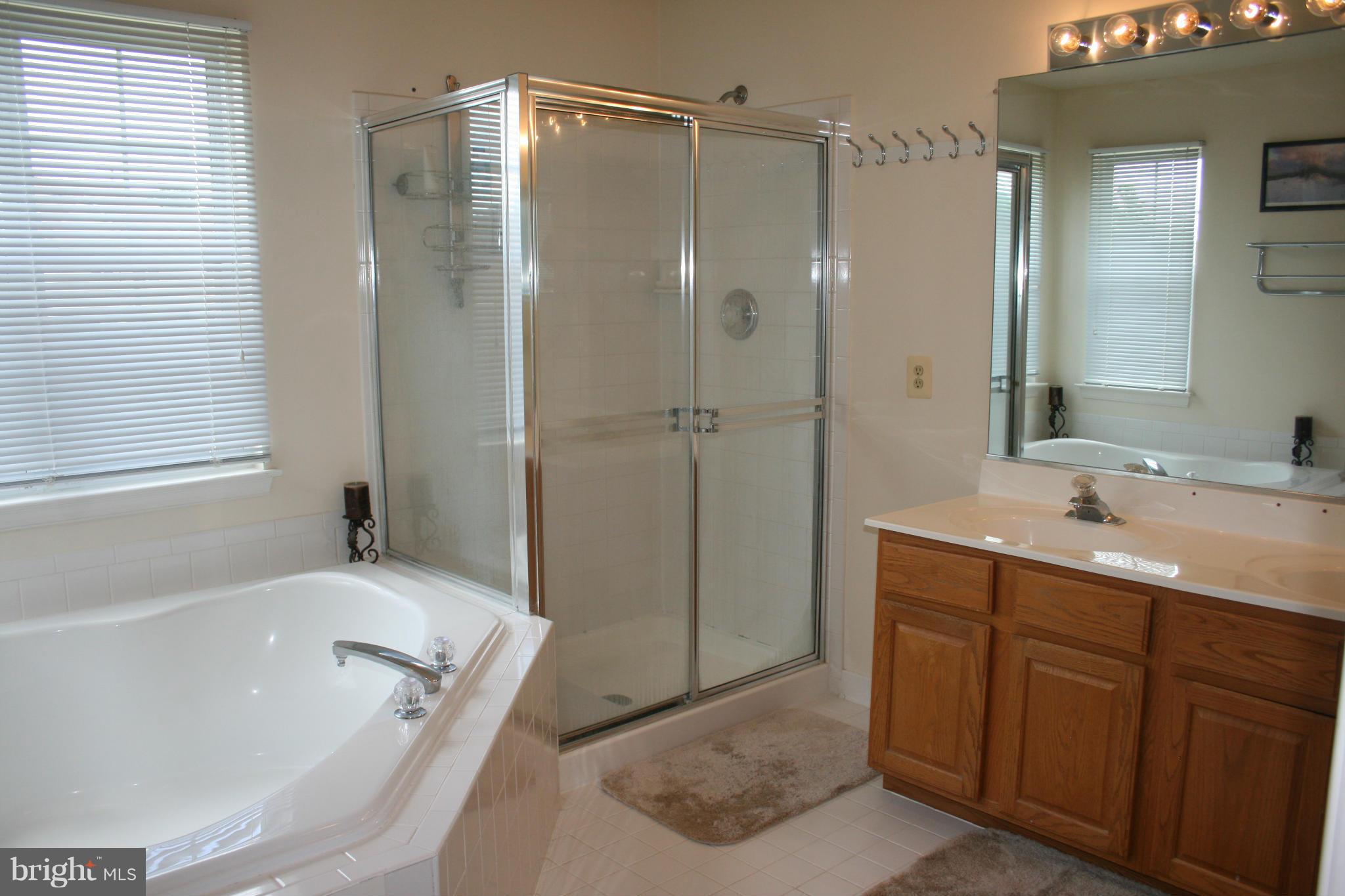 3841 Glebe Meadow Way Edgewater, MD 21037 - Photo 19 of 30 Bath (Master)