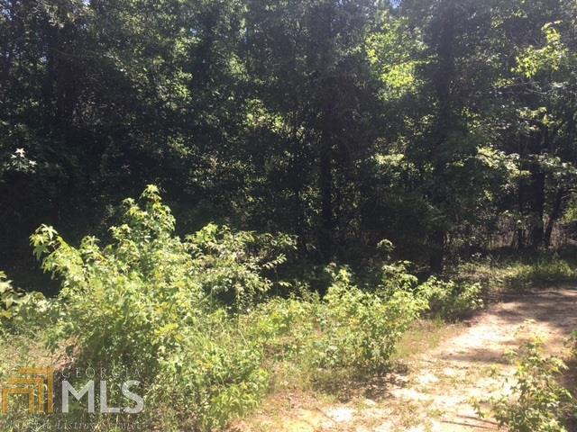 0 Newkirk Road, Unit 2 Statesboro, GA 30461 - Photo 1 of 1 Gallery Image 1