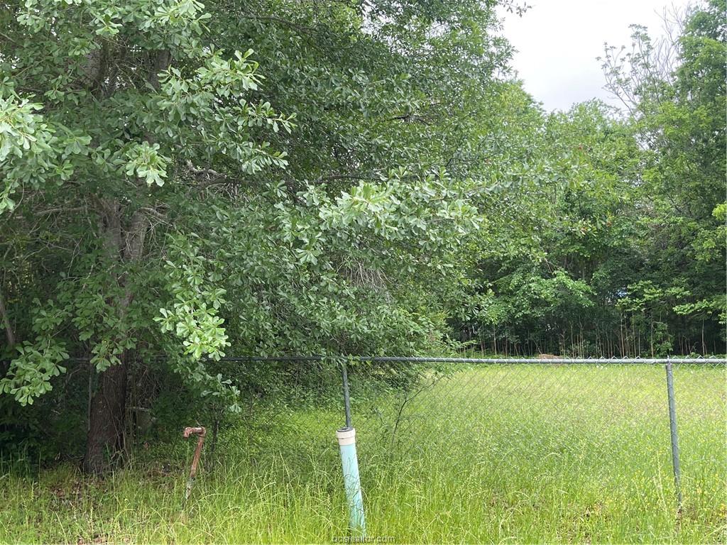 1403 Tisdale Street Bryan, TX 77808 - Photo 3 of 6 a view of outdoor space with a lake view
