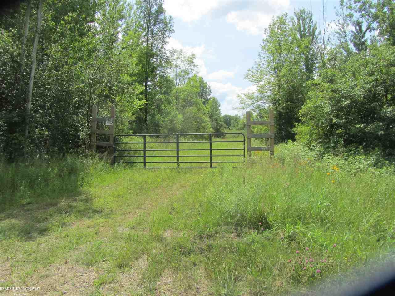 0 West Wellman Line Road Yale, MI 48097 - Photo 1 of 10
