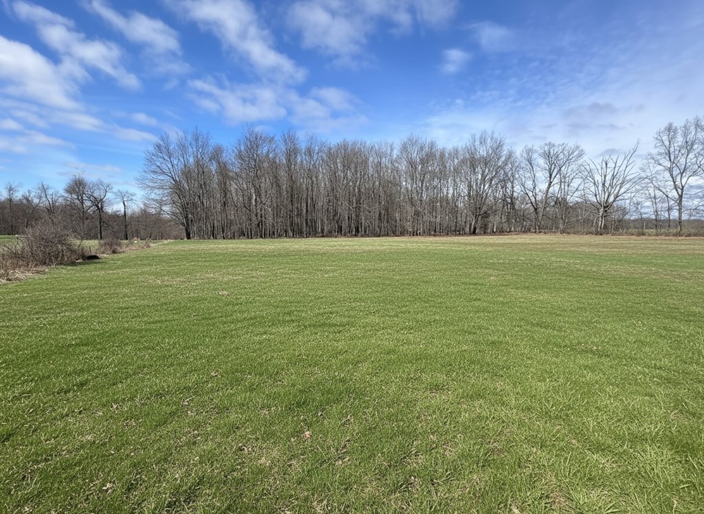 976 Halyday Run Road Oil City, PA 16301 - Photo 7 of 35 Gallery Image 7