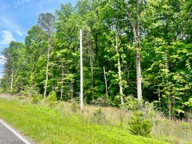 0 Hogan Creek Road Siloam, NC 27047 - Photo 8 of 9