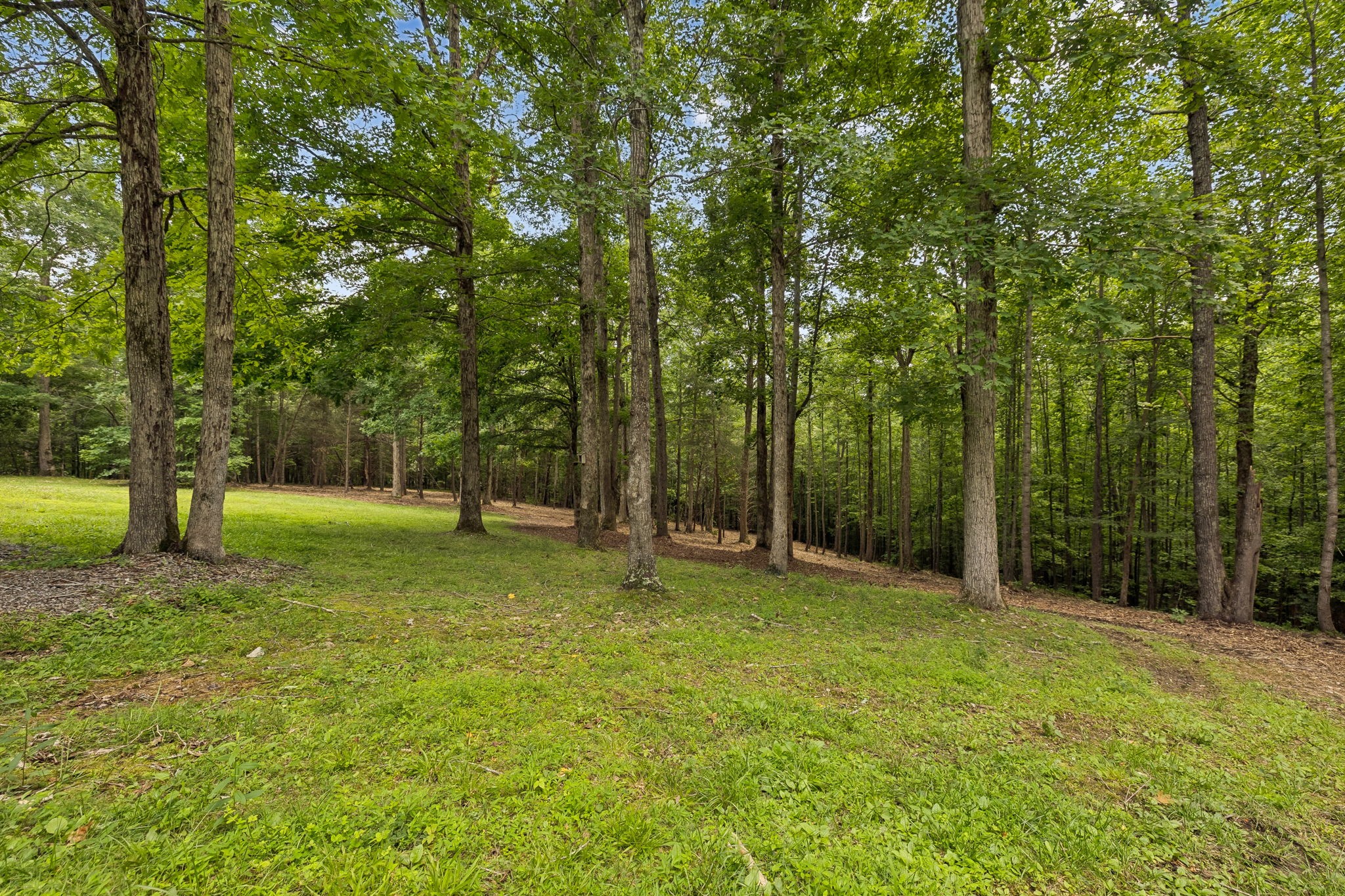 7555 County Line Road White Bluff, TN 37187 - Photo 78 of 89