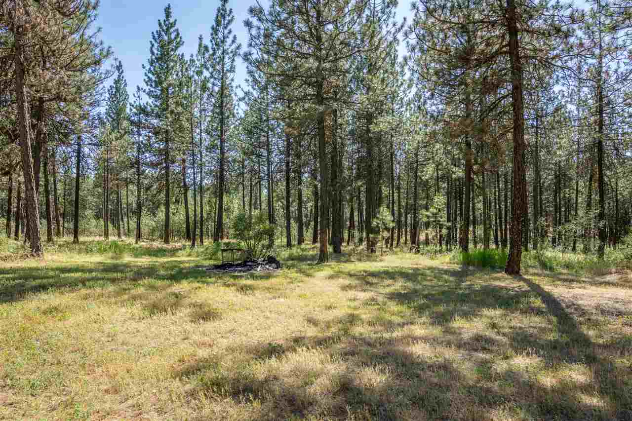 7302 South Mabel Road Cheney, WA 99004 - Photo 19 of 20