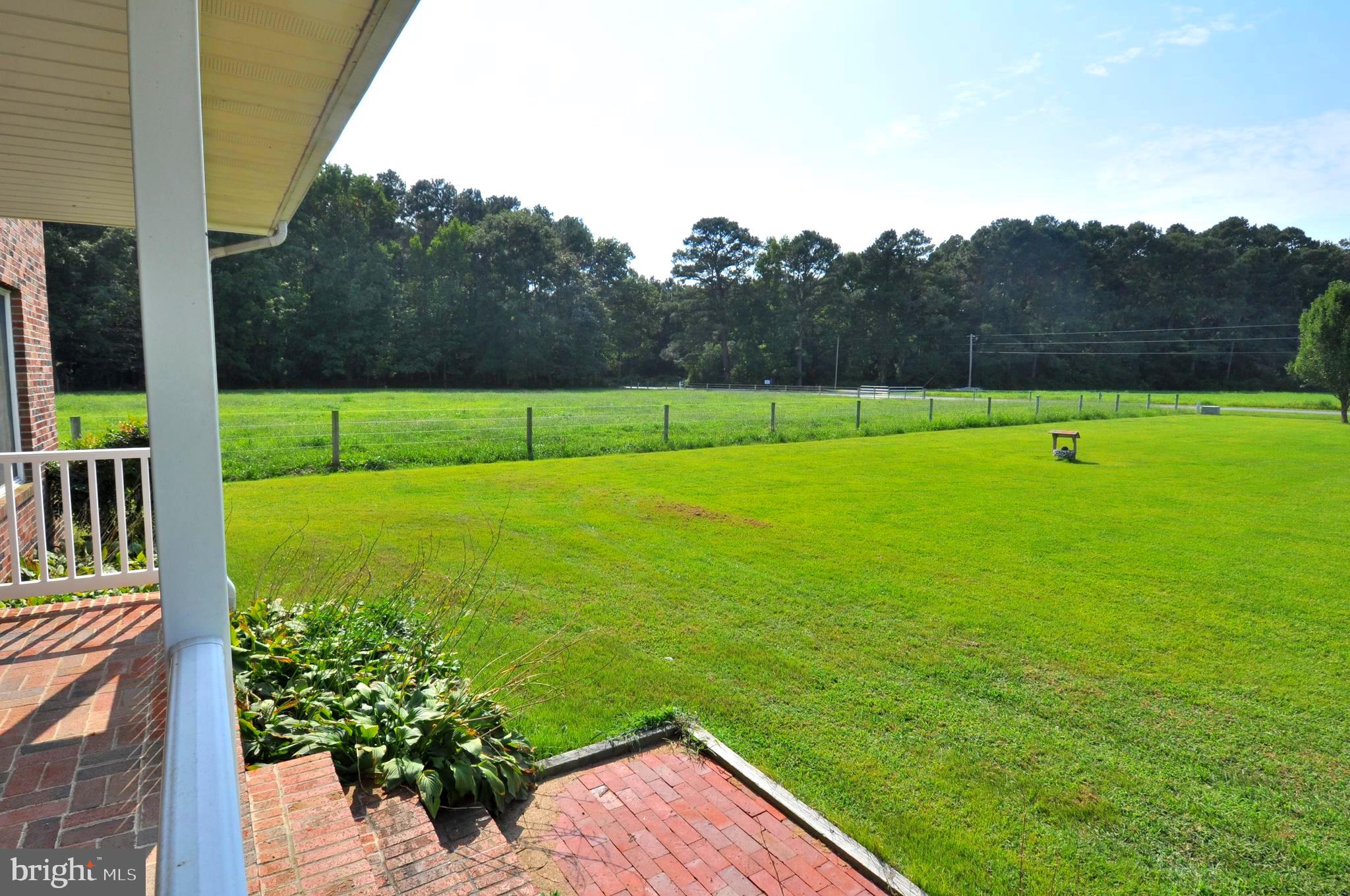 31881 Mitchell Road Princess Anne, MD 21853 - Photo 3 of 60 a view of a garden with an outdoor space