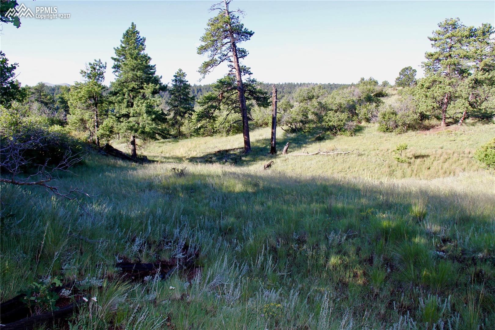 292 Pine Road Florissant, CO 80816 - Photo 1 of 14