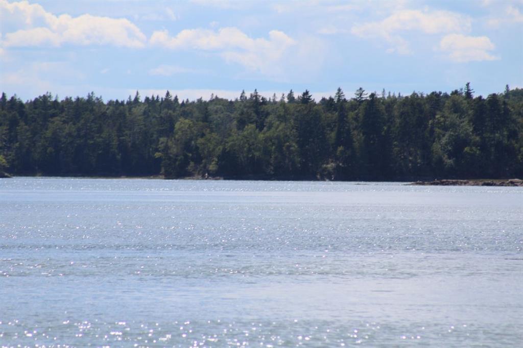 120 Lyons Road Lubec, ME 04652 - Photo 3 of 14 Looking southerly