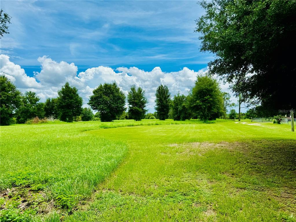 Fairview Heights Road Zephyrhills, FL 33541 - Photo 3 of 12 Gallery Image 3