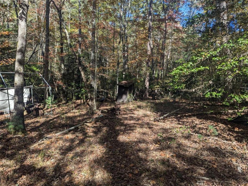 26.89 Shadow Lane Blue Ridge, GA 30513 - Photo 13 of 35 a view of a forest with trees