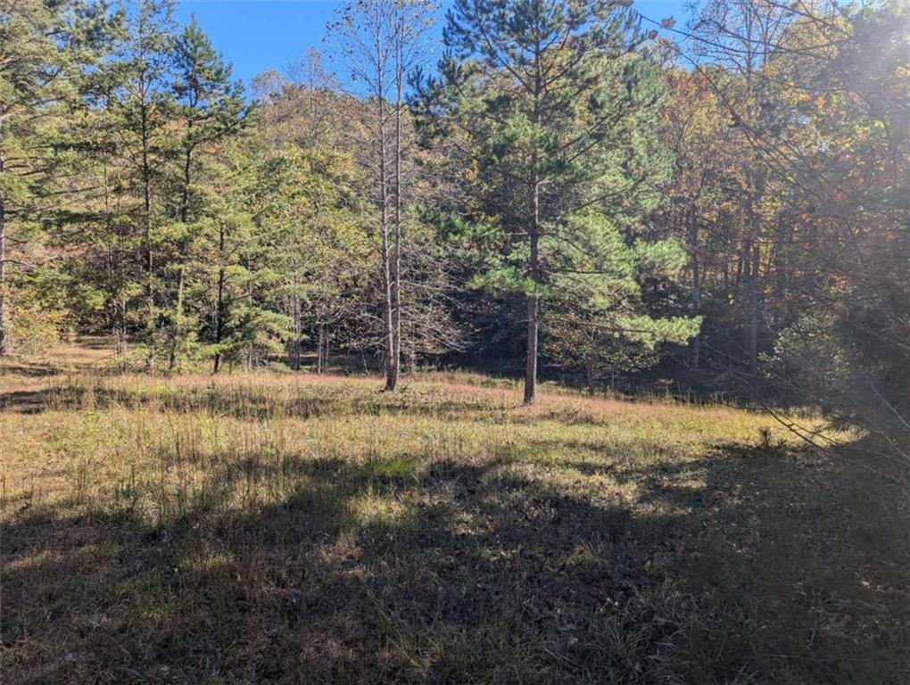 26.89 Shadow Lane Blue Ridge, GA 30513 - Photo 20 of 35 a view of a yard with a tree