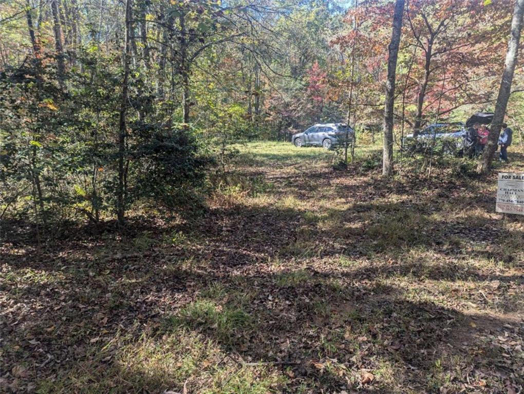 26.89 Shadow Lane Blue Ridge, GA 30513 - Photo 27 of 35 a view of a yard with plants and trees