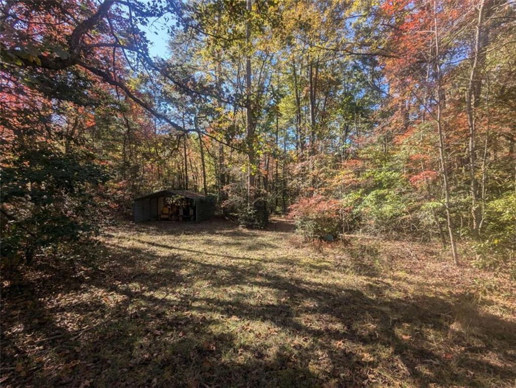 26.89 Shadow Lane Blue Ridge, GA 30513 - Photo 5 of 35 a view of outdoor space and yard
