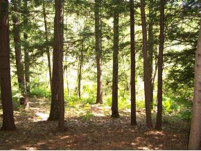 445-2 Stage Road Sanbornton, NH 03269 - Photo 2 of 12