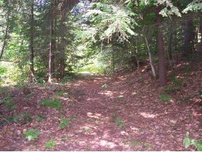 445-2 Stage Road Sanbornton, NH 03269 - Photo 11 of 12