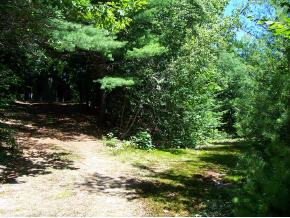 445-2 Stage Road Sanbornton, NH 03269 - Photo 9 of 12