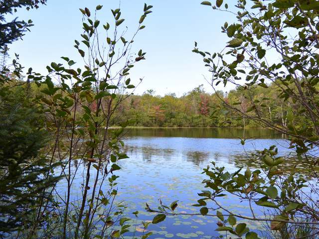 Lot 27 Trails End Road Land O'Lakes, WI 54540 - Photo 1 of 13 Gallery Image 1