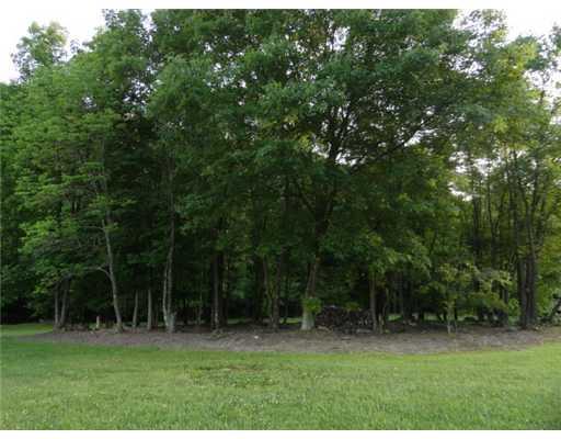 174 Schmitt Road Harmony, PA 16037 - Photo 5 of 6 Land/Lot.