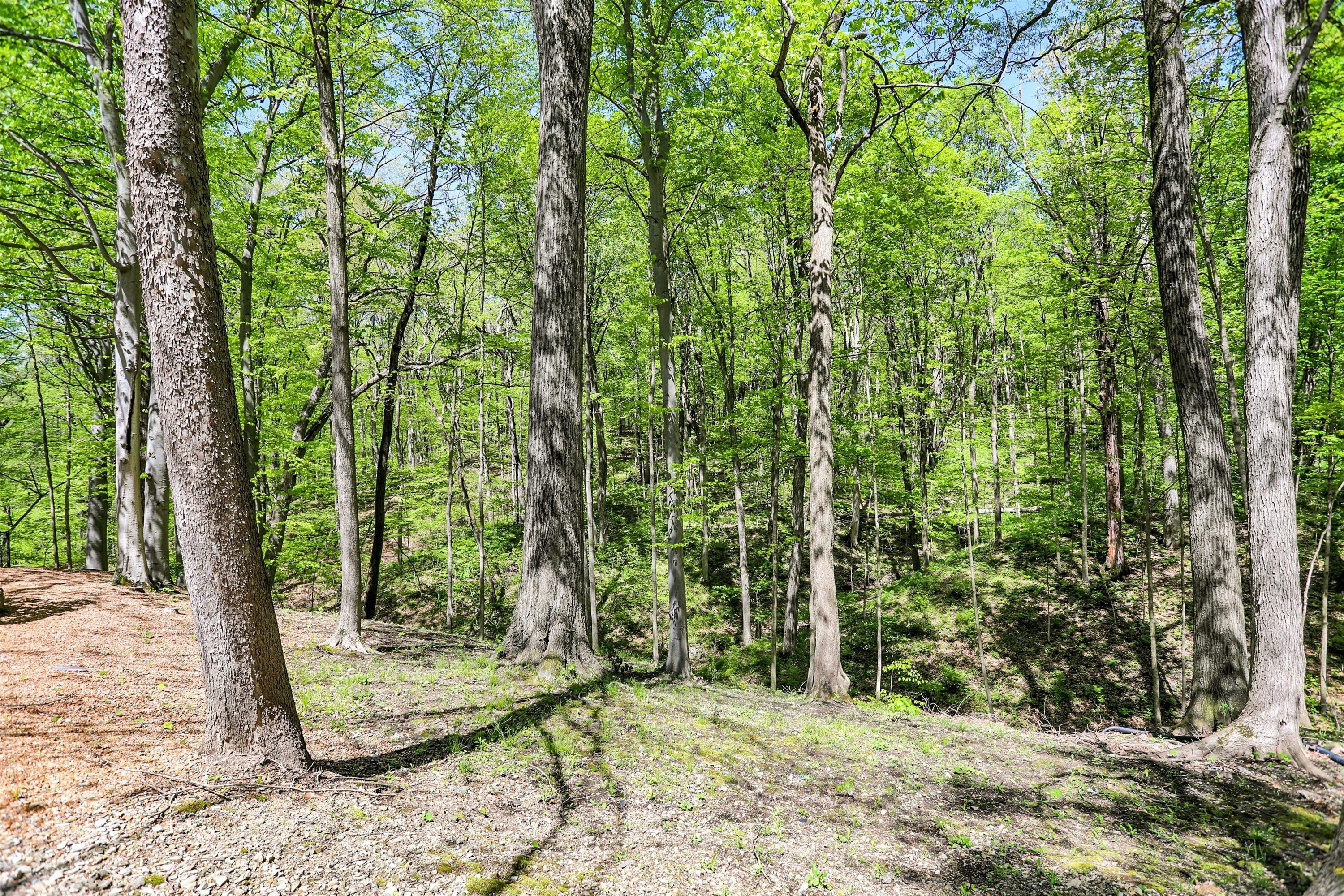 7118 Lantern Road Indianapolis, IN 46256 - Photo 91 of 100