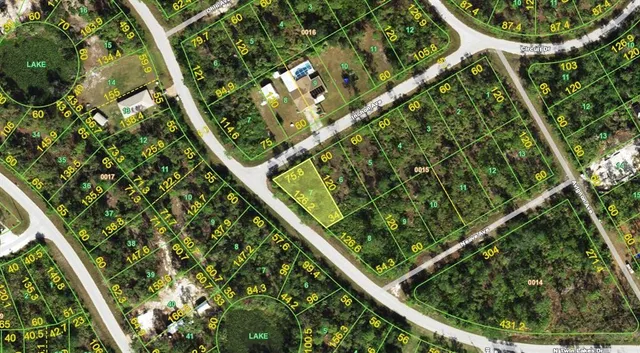 a close up of a tree