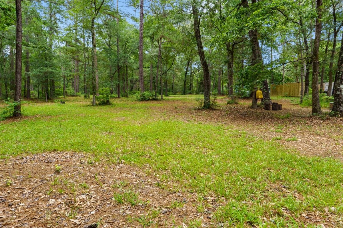 16375 Grand Flower Road Plantersville, TX 77363 - Photo 41 of 50 a backyard of a house with lots of green space